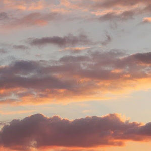 Meet your Posher, Sammy